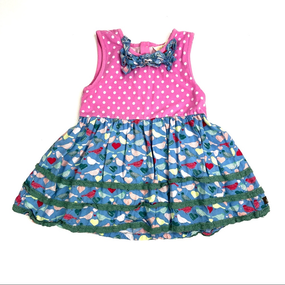 Matilda Jane Pink and Blue Ruffle Tunic Top, Bird Print